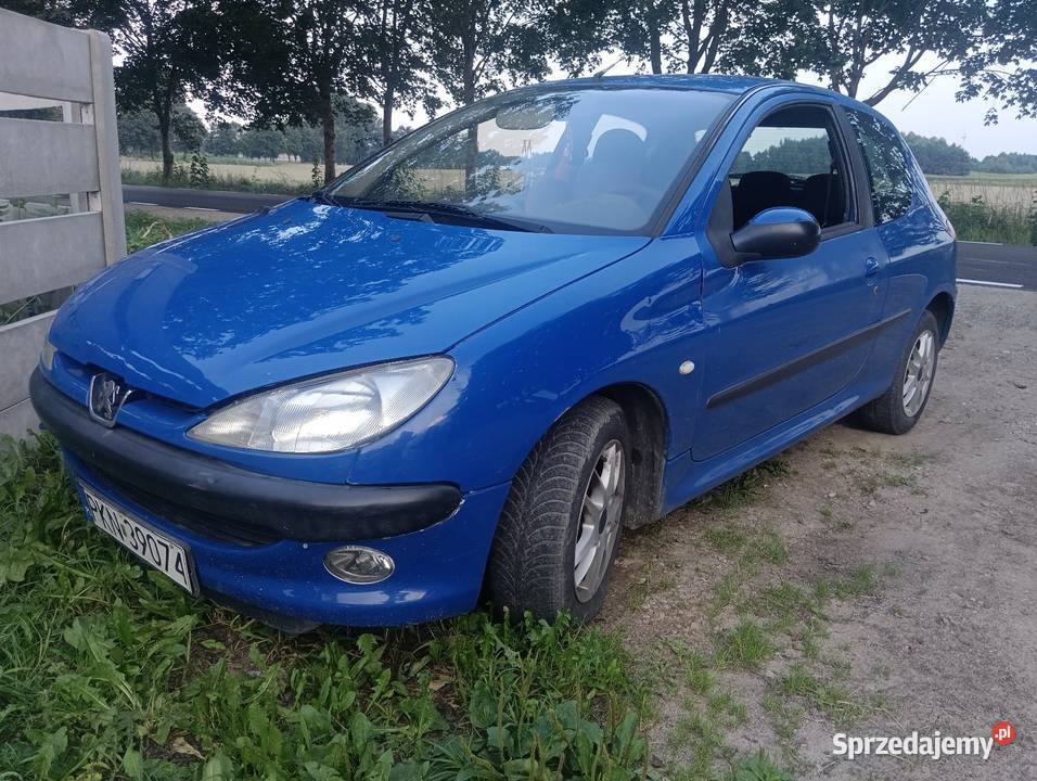 Peugeot 206 2002r klima wielkopolskie Jastrzębowo