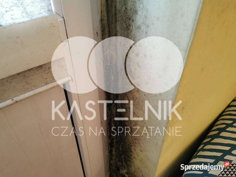 Odgrzybianie ścian Grudziądz Kastelnik Usuwanie