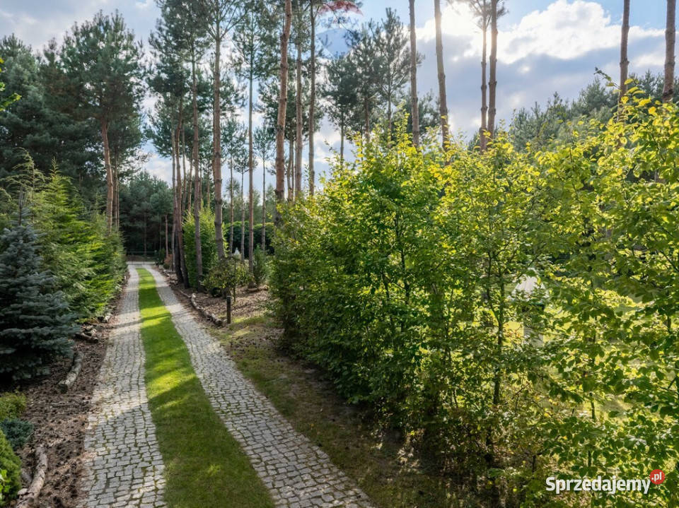Wyjątkowa posiadłość w Wilkowyi koło Jarocina wielkopolskie Wilkowyja