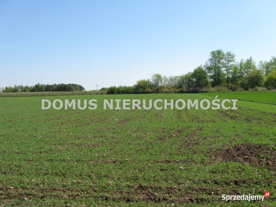 sprzedaży gruntu Tworzyjanki 3000m2