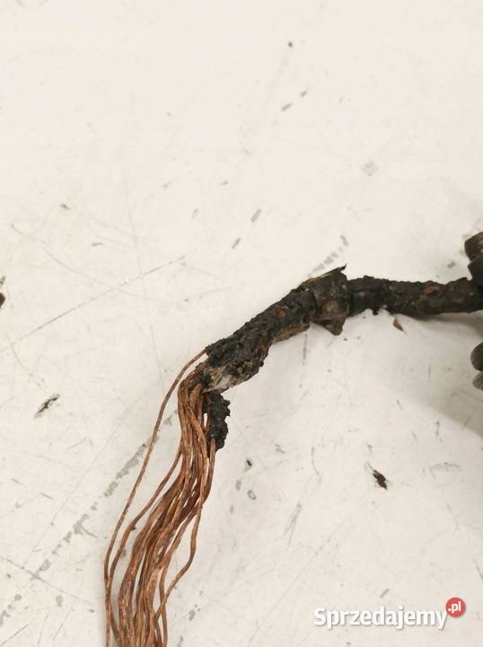 LUSTERKO LEWE 15PIN EUROPA USZKODZONE Mercedes