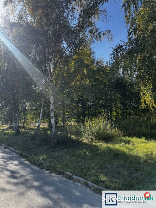 Działka 3000m2 Cierpisz