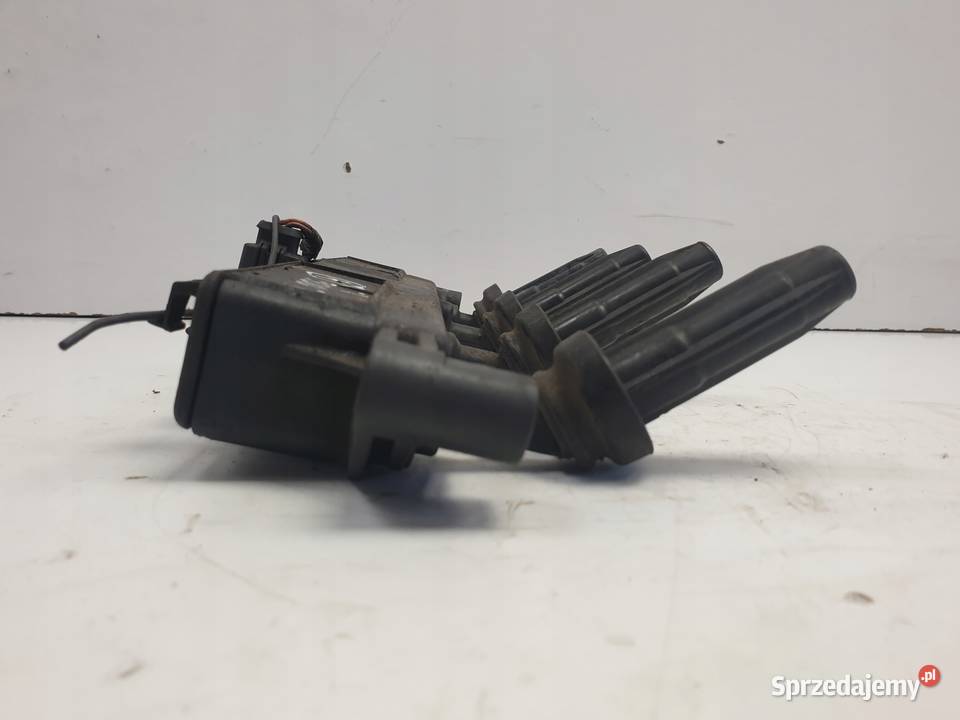 CEWKA ZAPŁONOWA Peugeot 206 14 8V 9635864880 osobowe Rudka