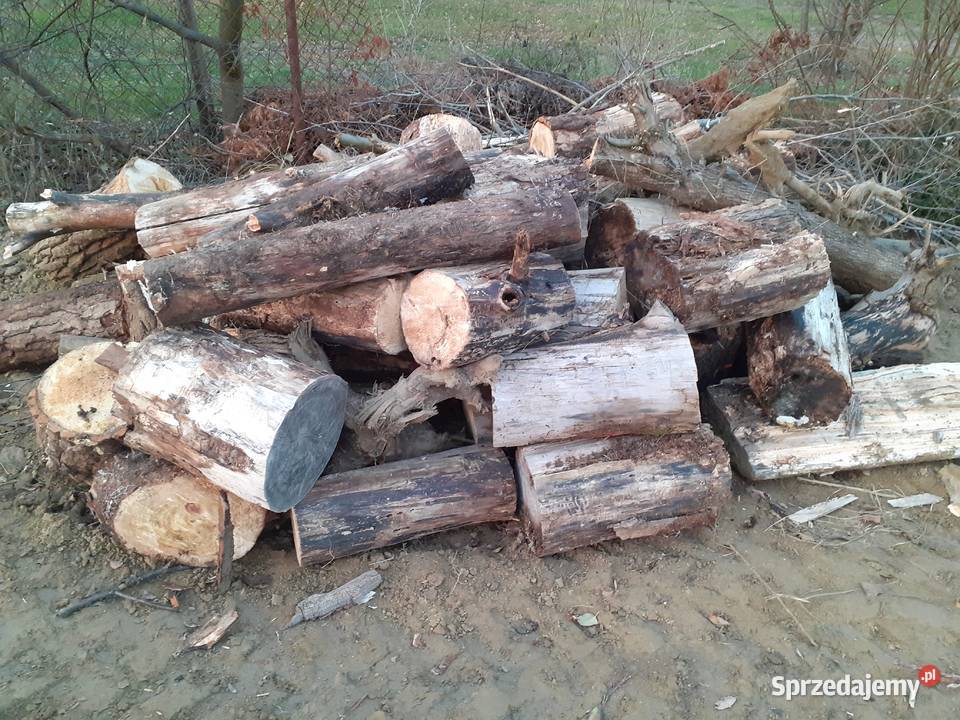 DREWNO SUCHE LIŚCIASTE OSIKA 12 mp 95 mp Warszawa sprzedam