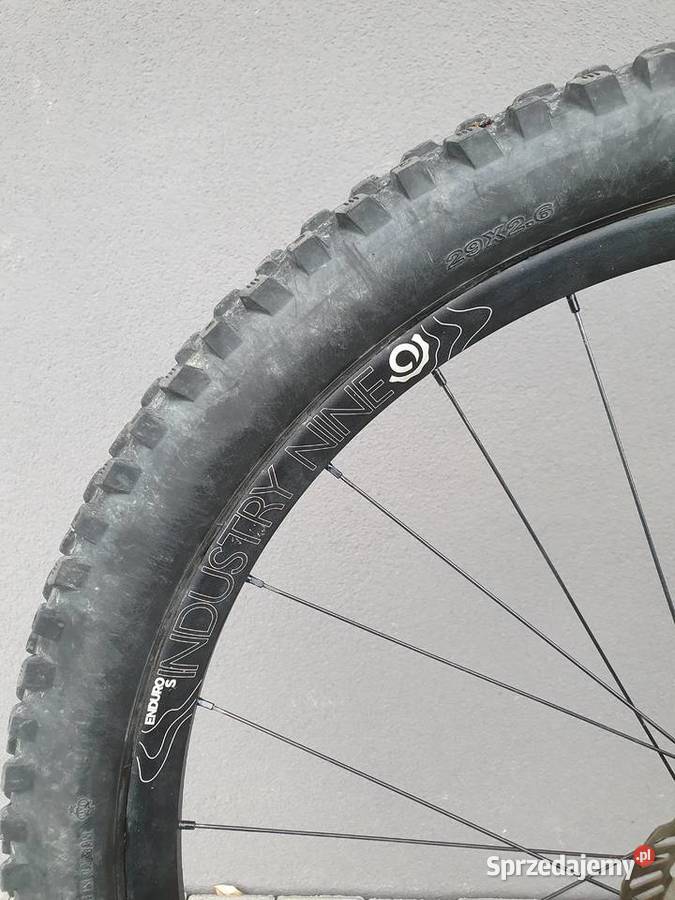 Evil Wreckoning L 2022 upgradzie serwisowany Katowice