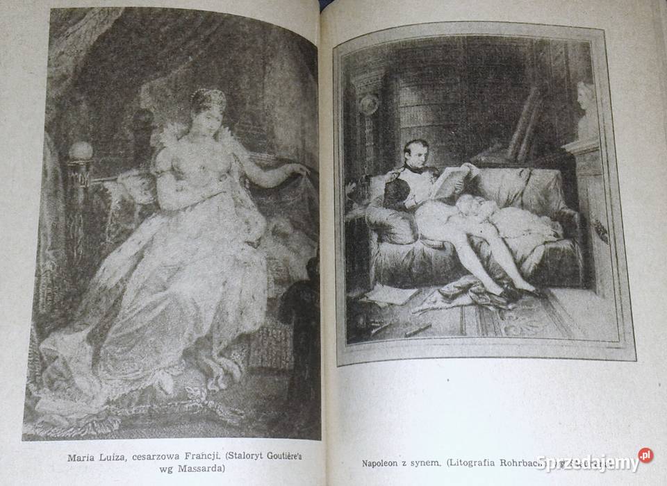 Synowie Napoleona Część 1 Jadwiga Dackiewicz Chełm sprzedam