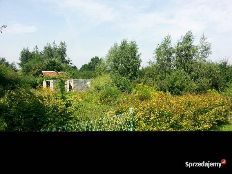 działkę ogrodową w ROD Zorza dolnośląskie Legnica