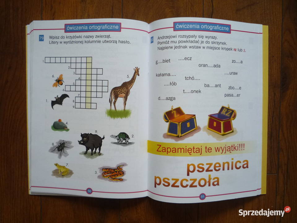 Ćwiczenia Ortograficzne klas 1 2 3 K Niemierko Szczecin sprzedam
