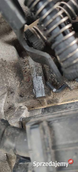 SEAT LEON I 1 TOLEDO II 2 AUDI A3 8L EGV