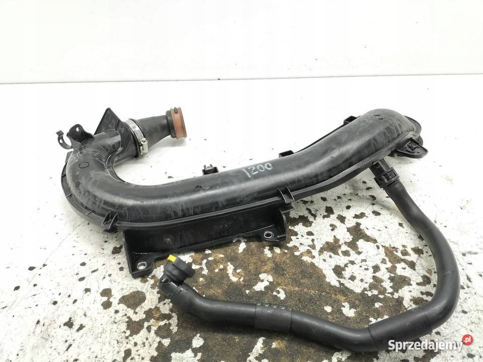 DOLOT POWIETRZA AV619C623B 20 TDCI Ford Focus świętokrzyskie