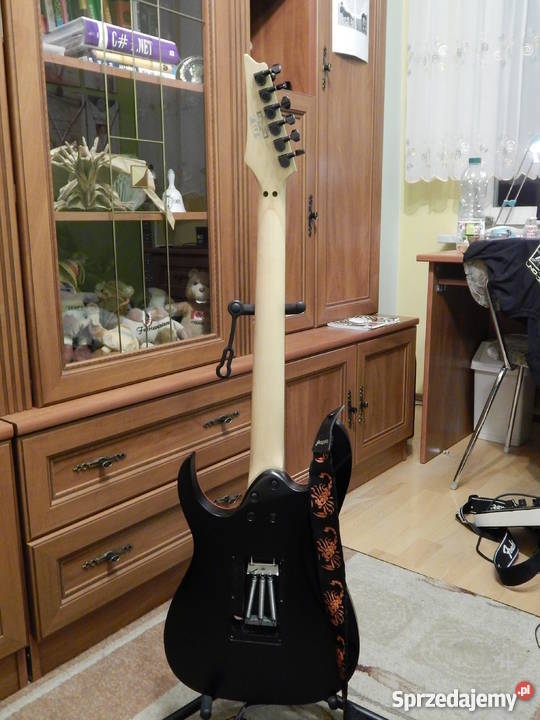 Ibanez GRG 250 DX stn Ilość strun 6 Szczecin