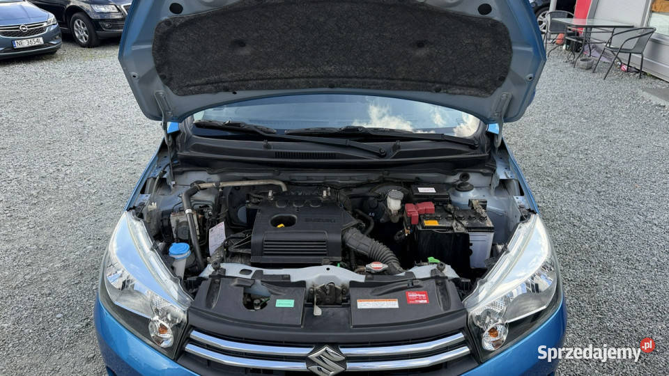 Suzuki Celerio Benzyna Zarejestrowany Elbląg