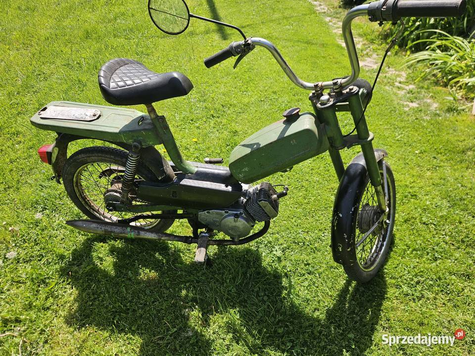 Komar kadet dolnośląskie