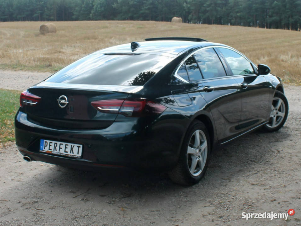 Opel Insignia B 20 D 170 Full LED Skóra SZYBER wspomaganie kierownicy sprzedam