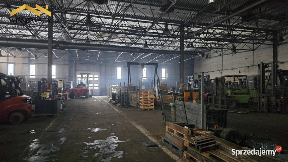 Hala Berlin 1274 m Elbląg S7 warmińsko-mazurskie