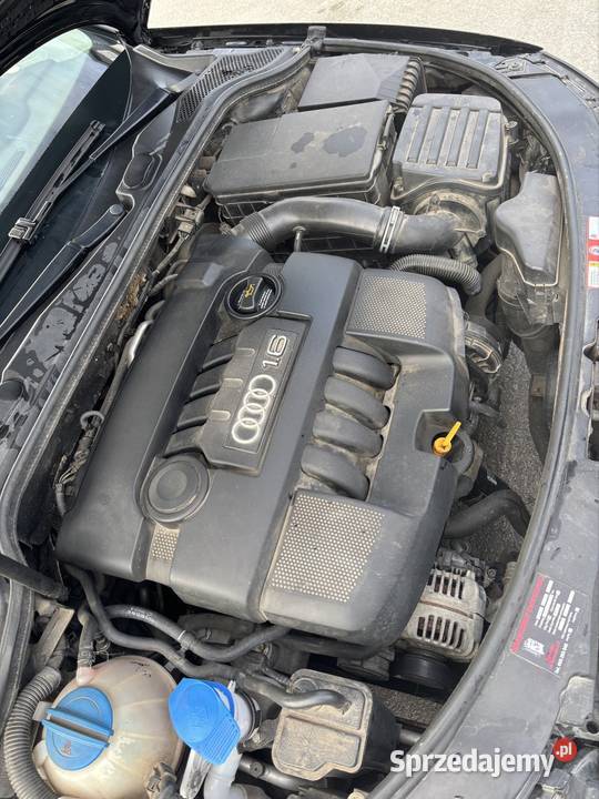 Audi A3 8P radio Ryki