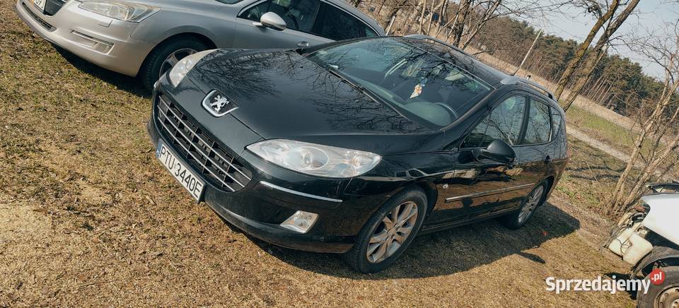 Peugeot 407 Samochody osobowe wielkopolskie Turek