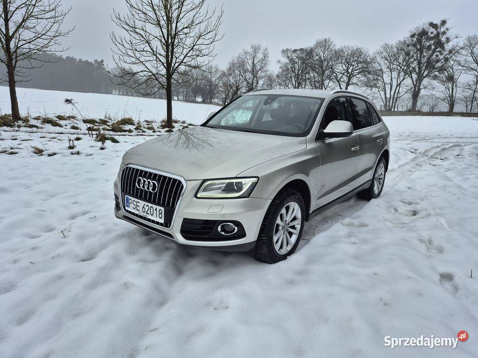 Audi Q5 8R Lift wielkopolskie sprzedam