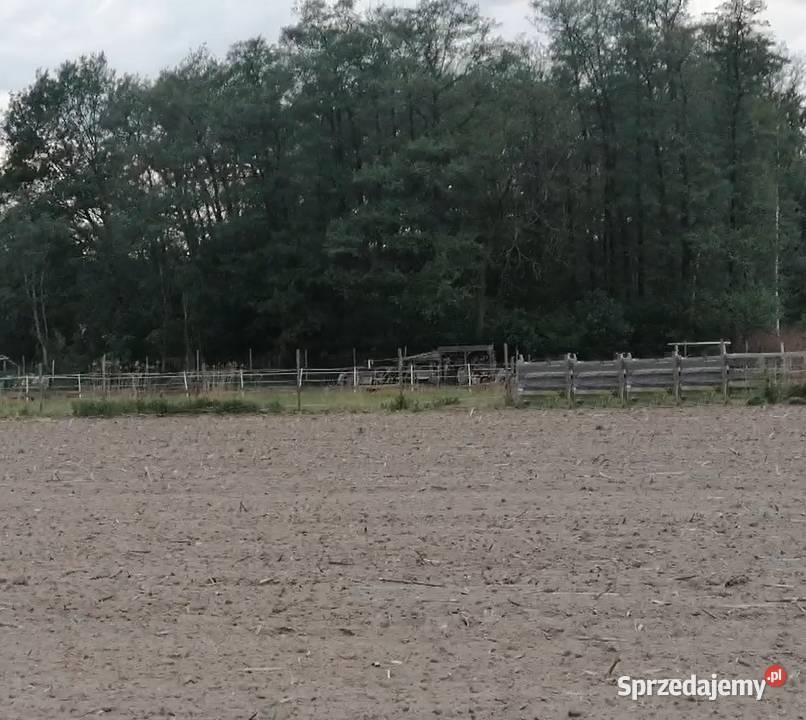 Sprzedam piękną działkę z widokiem na las dolnośląskie Jeszkowice