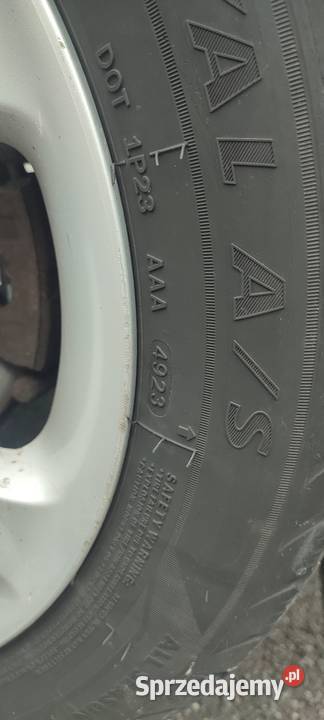 Mitsubishi Grandis lakier metallic Dubielewo