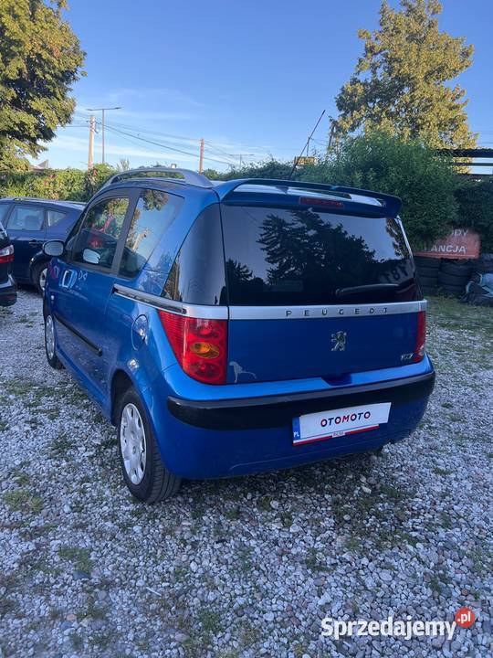 Peugeot 1007 Salon Polska