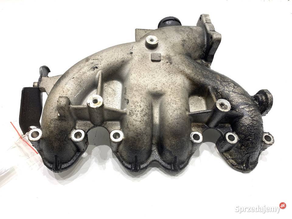 KOLEKTOR SSĄCY VW GOLF PLUS V 03G129713 19 105 osobowe sprzedam