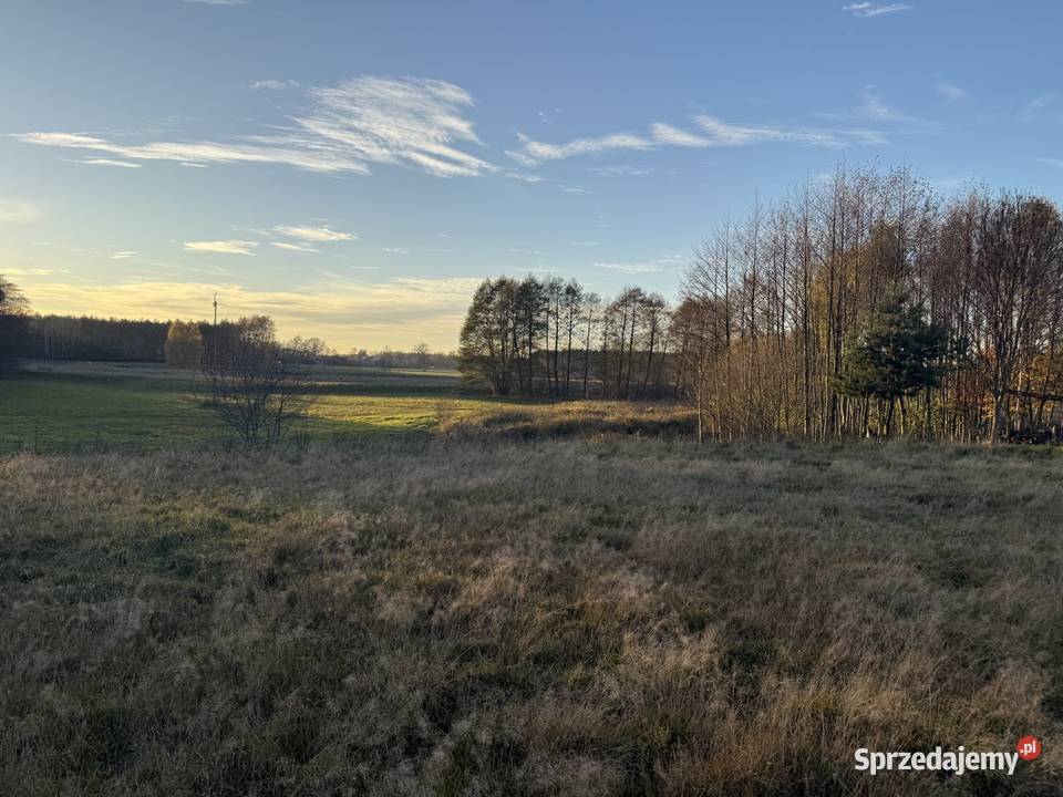 działka budowlana Zdzierczyzna gmina Sokolniki