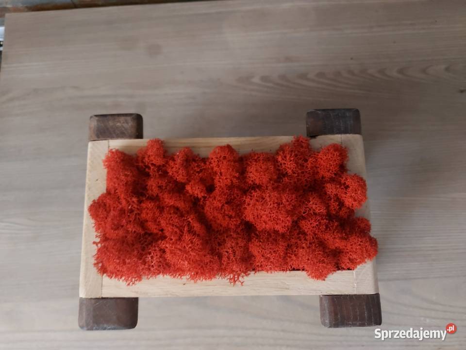 Doniczki dębowe ozdobione mchem dekoracyjnym