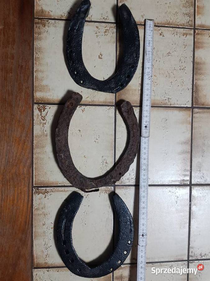 Pięknadużaoryginalna podkowa na szczęście