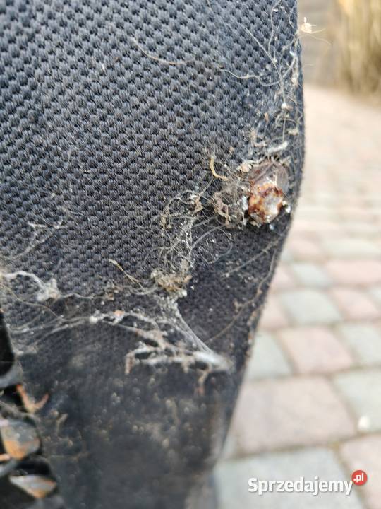 Fotel kubełkowy Fotele i kanapy