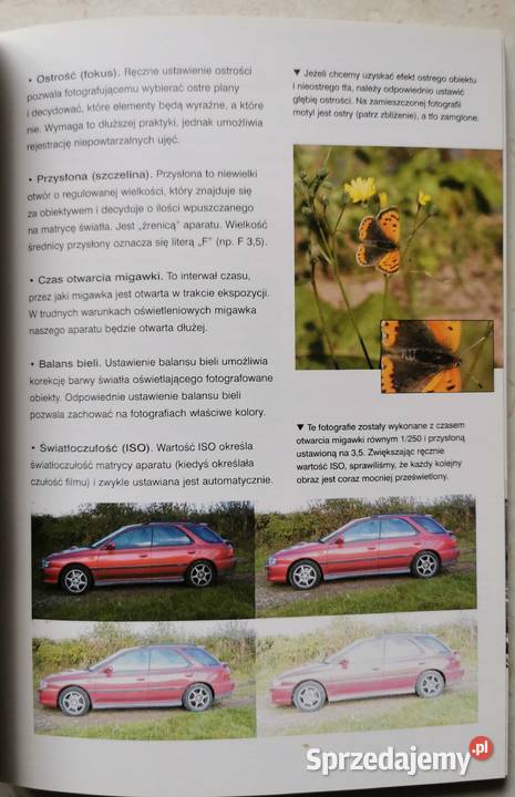 Fotografia cyfrowa Patrick Hook Lędziny sprzedam