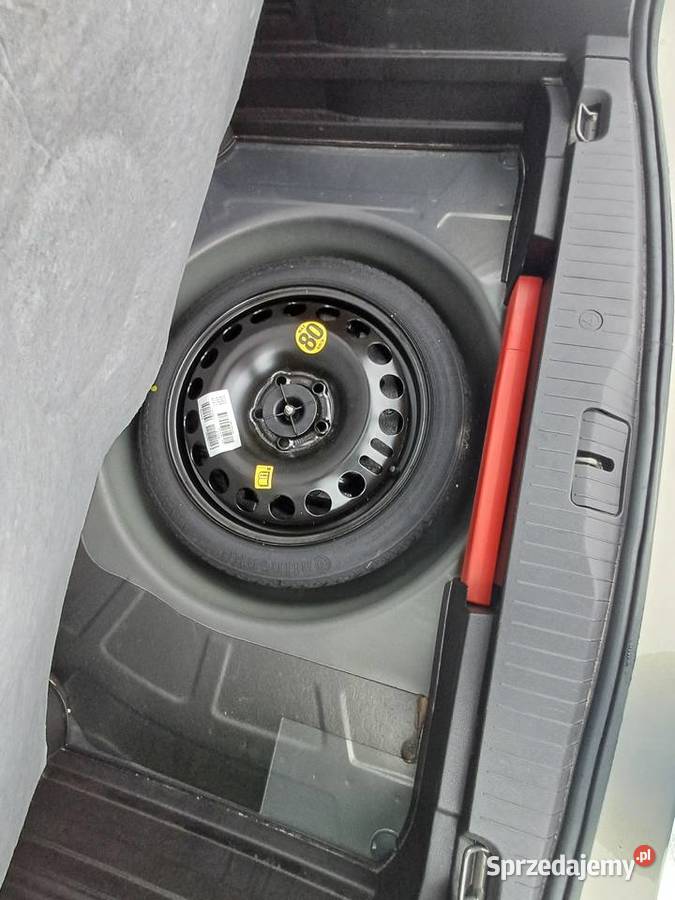 Świeżo sprowadzony wielkopolskie sprzedam