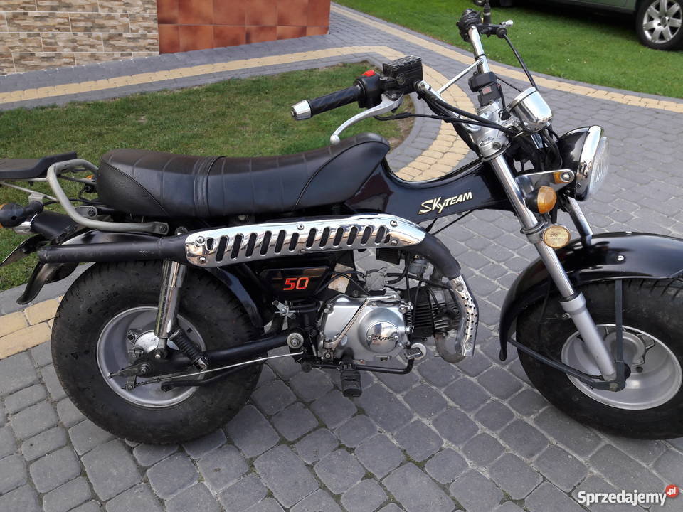 Skyteam TREX 50110 Chmielnik sprzedam