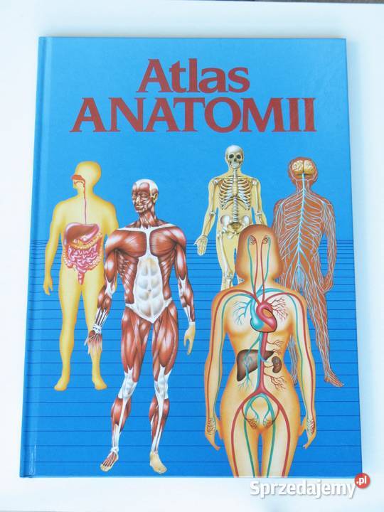 Atlas anatomii Dr de Bernabe Ortega Encyklopedie, słowniki i atlasy Książki dla dzieci Kraków