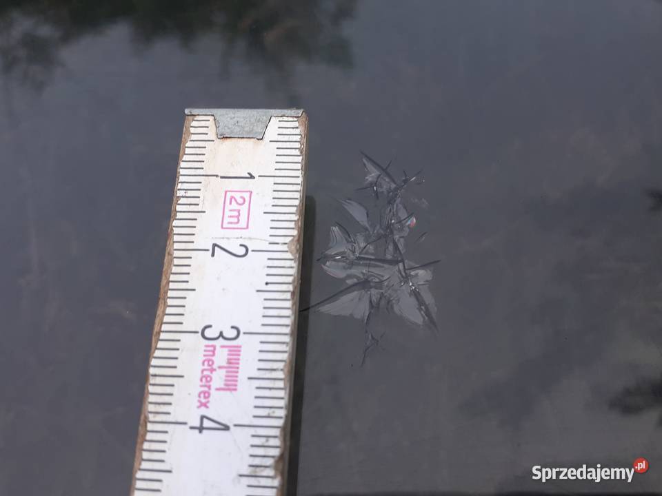 Okno szyba Dometic Seitz AGC4831450x0590 Okna Sobótka