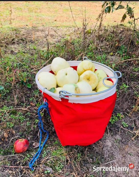 Sok tłoczony z jabłek Warszawa i