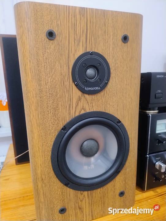 Infinity RS 3000 rzadkie kolumny w stanie
