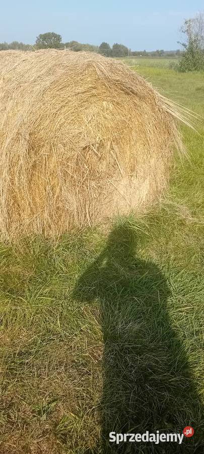 Sprzedam słomę Rolnictwo