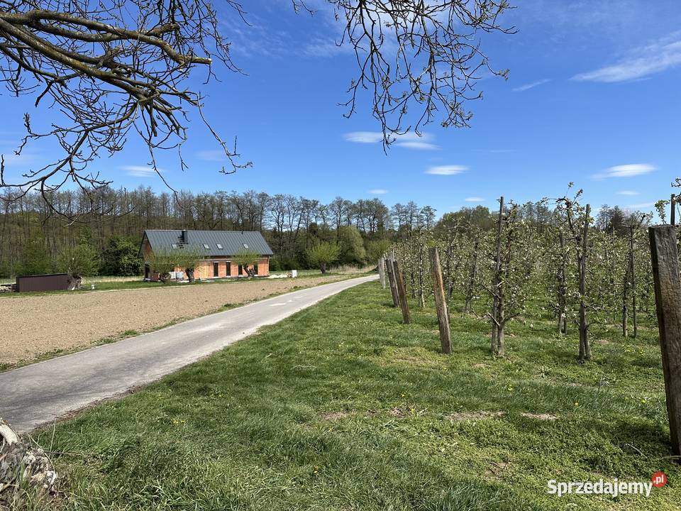 Działka z warunkami zabudowy 6100m2 Sandomierz