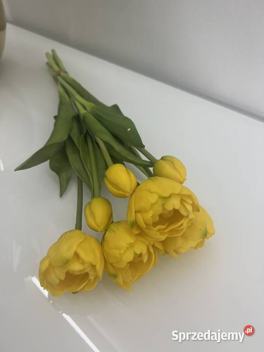 Bukiet tulipanów gumowych 7 sztuk Premium kolor Golkowice