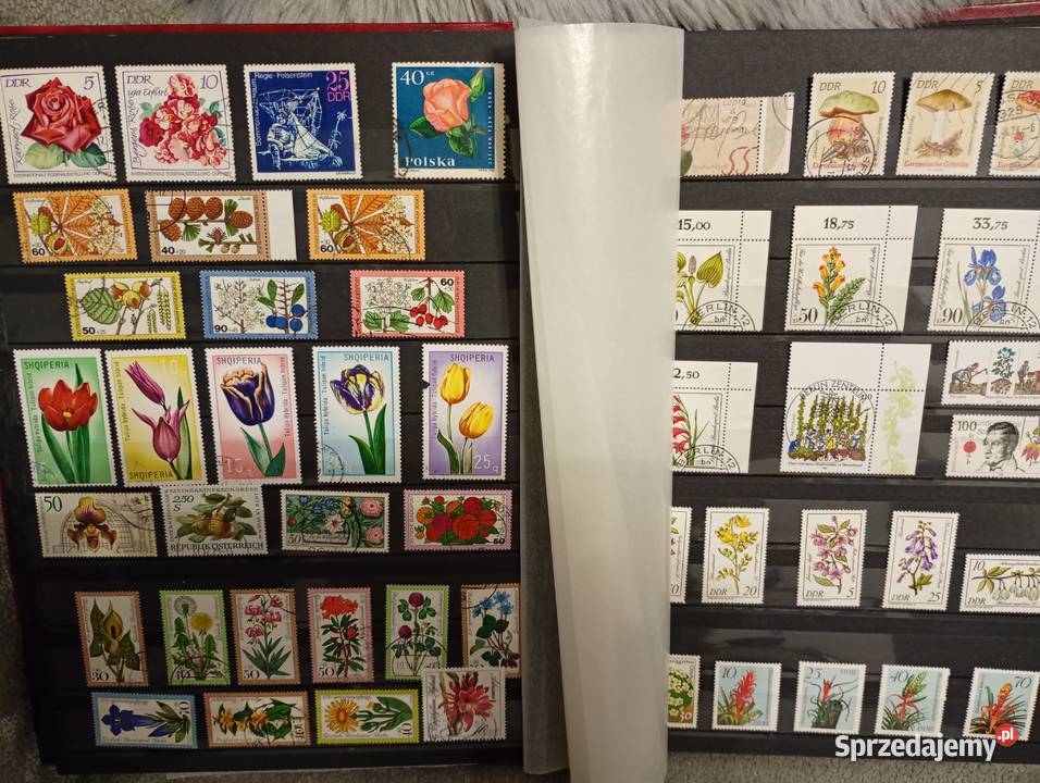 Duży album klaser ze starymi znaczkami łódzkie Łowicz