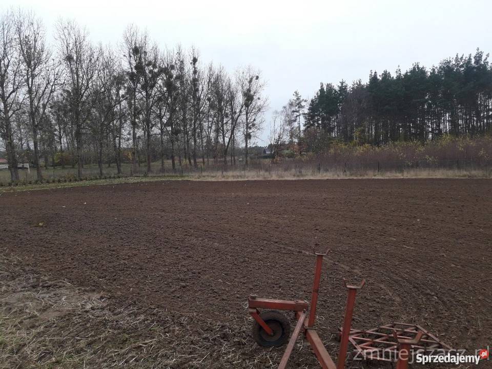 Brony 9 metrówkrycia na barku pod zaczep wielkopolskie Trzcianka sprzedam