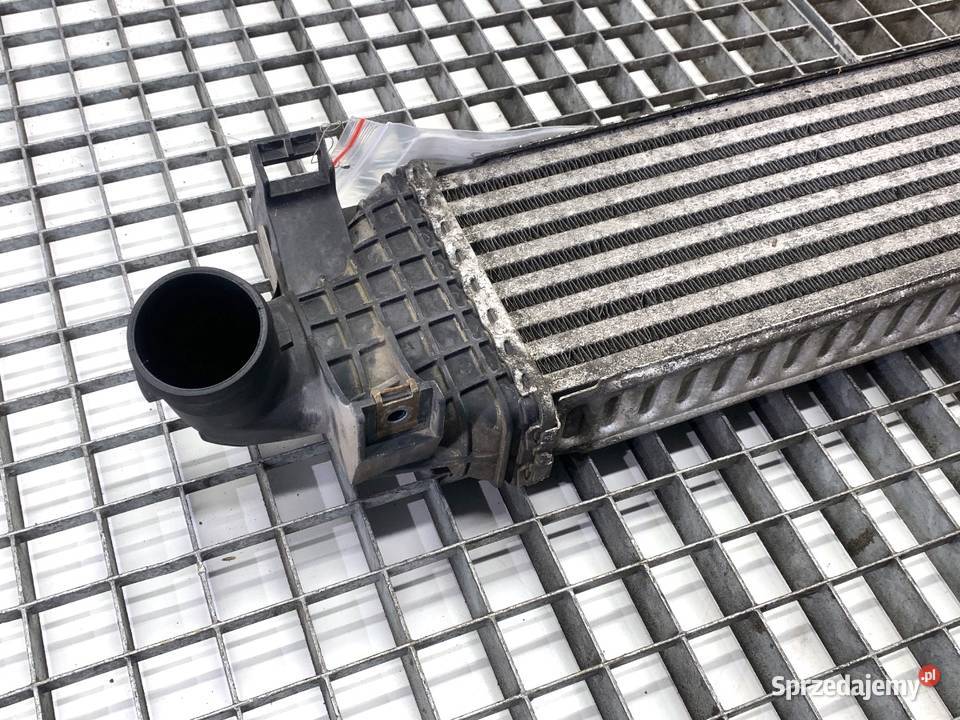 INTERCOOLER FORD FOCUS C 18 115 0307 CHŁODNICA Układ chłodzenia sprzedam