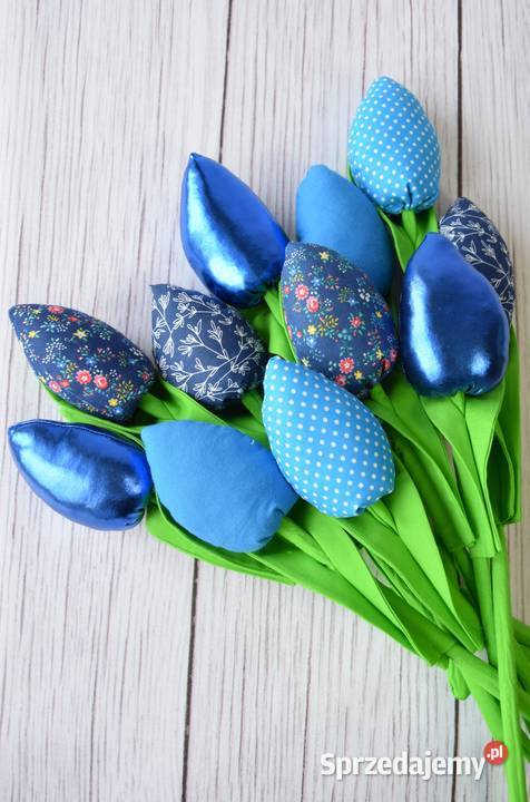 Bukiet 11 tulipanów Tulipany bawełniane Tulipany śląskie Katowice