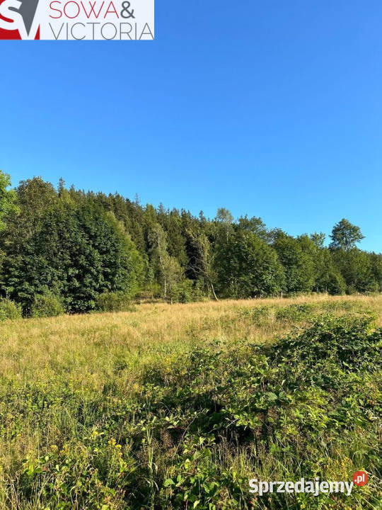 Piękne działki budowlane przełęczy Kowarskiej Nieruchomości