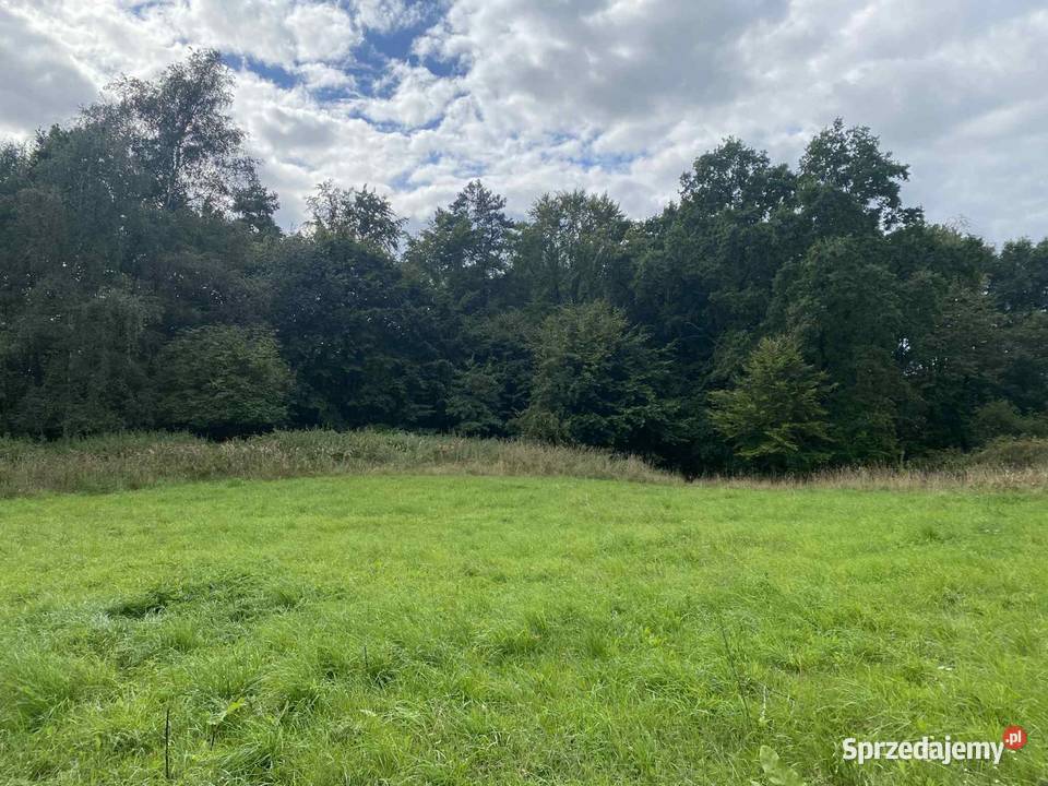 Działki we wsi Kołowo