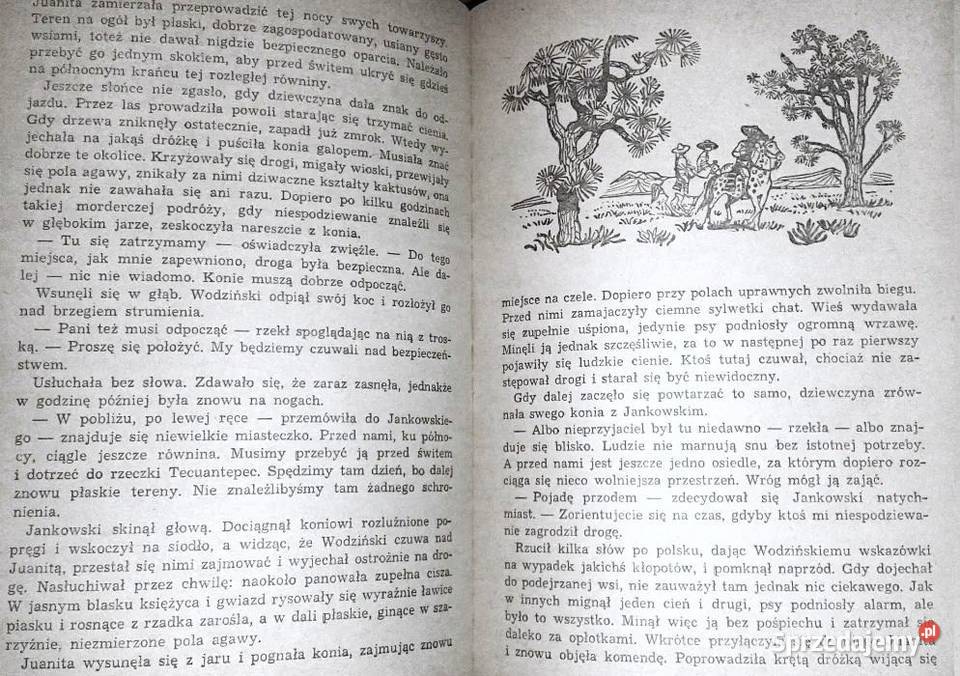 Cień Montezumy Bolesław Mrówczyński lubelskie Chełm