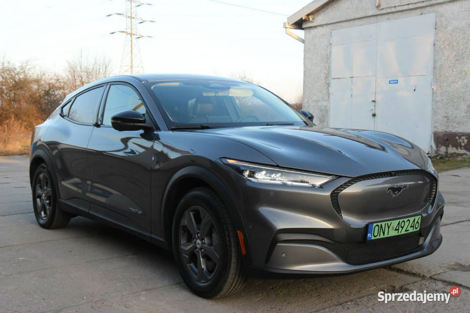 Ford Mustang MachE 2023 Elektryk 294 610 Zasięg automatyczna