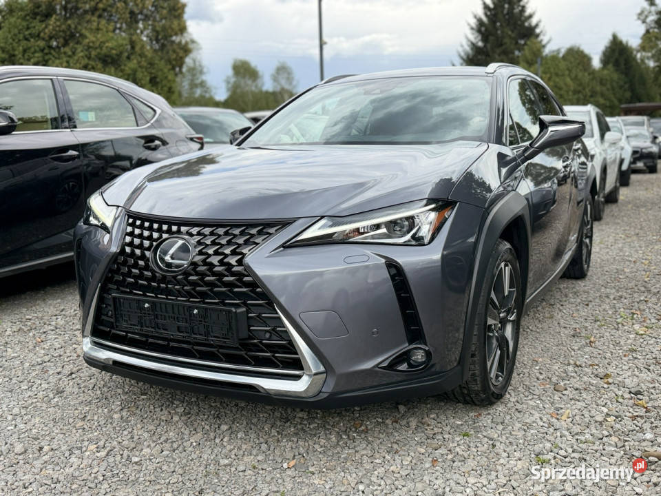 Lexus UX 20 Hybrid Skóra Ful LED Premium immobilizer