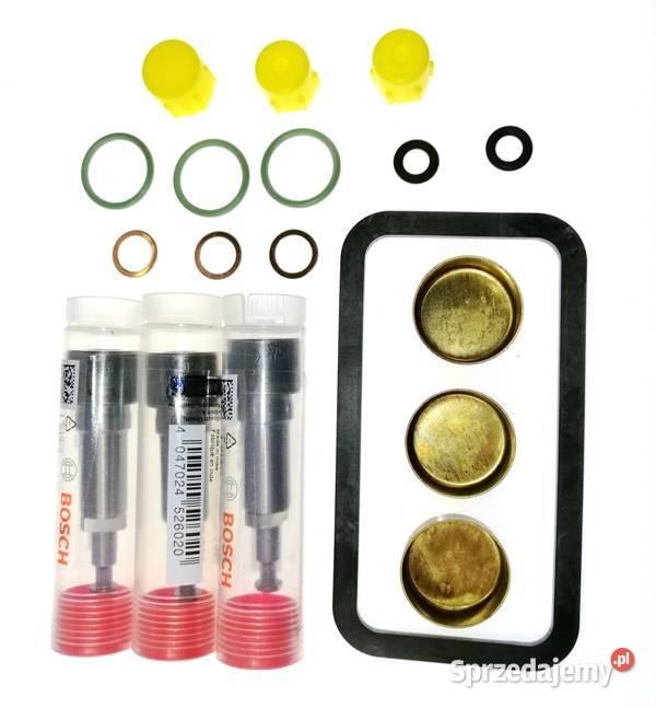 Elementy tłoczące sekcje do Pomp wtryskowych wielkopolskie